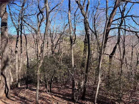 4412 Bee Tree Ridge Dr, Jasper, GA 30143 photo 4