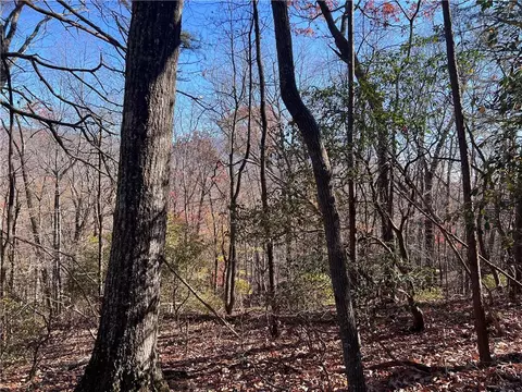 4412 Bee Tree Ridge Dr, Jasper, GA 30143 photo 3