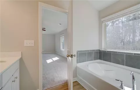 184 Cabin Way, Hampton, GA 30228 photo 23