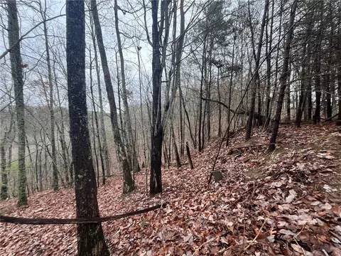 1452 Hanna Dr, Ranger, GA 30734