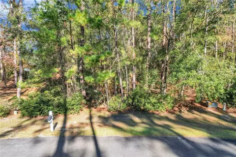 0 Riverpoint Ln, Townsend, GA 31331 photo 20