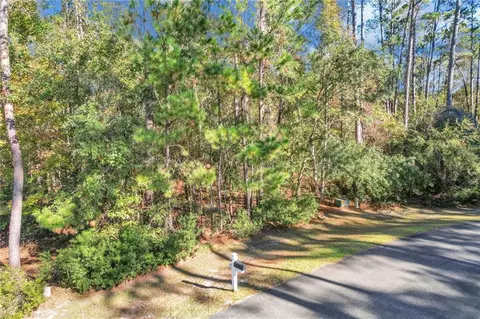 0 Riverpoint Ln, Townsend, GA 31331 photo 22