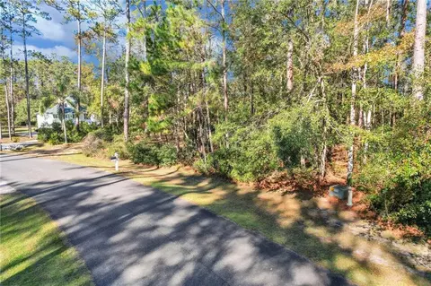 0 Riverpoint Ln, Townsend, GA 31331 photo 18