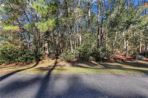 0 Riverpoint Ln, Townsend, GA 31331 photo 14