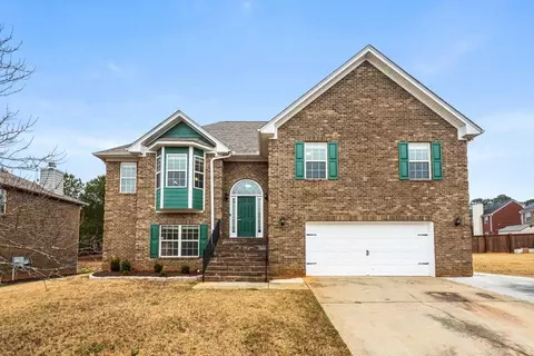 345 Panhandle Pl, Hampton, GA 30228