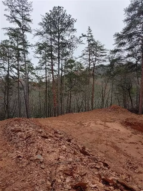 333 Packet Ct, Ranger, GA 30734