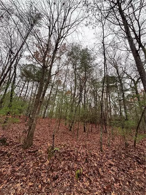 0 Jetty Dr, Ellijay, GA 30540
