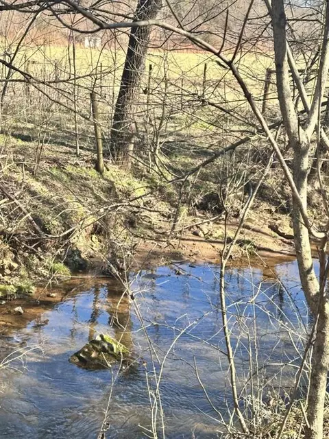 236 Pat Gooch Rd, Dahlonega, GA 30533