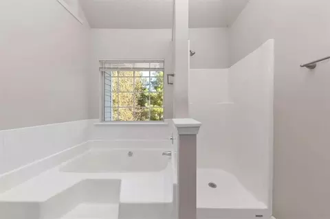 116 Rolling Meadows Ct, Hampton, GA 30228 photo 33