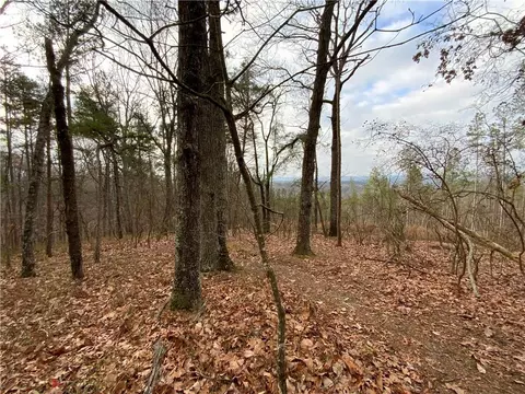 0 Davis Rd W, Fairmount, GA 30139 photo 17