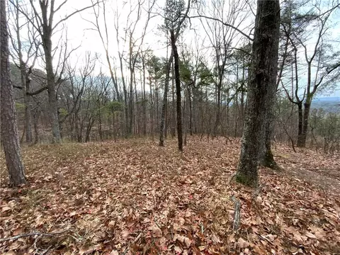 0 Davis Rd W, Fairmount, GA 30139 photo 22