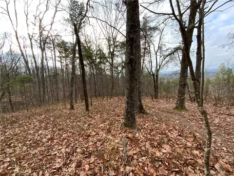 0 Davis Rd W, Fairmount, GA 30139 photo 21