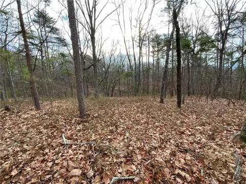 0 Davis Rd W, Fairmount, GA 30139 photo 24