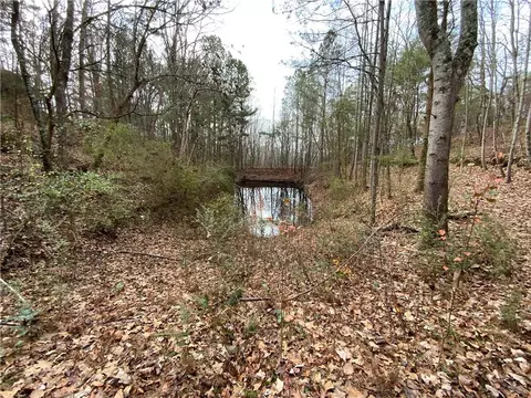 0 Davis Rd W, Fairmount, GA 30139 photo 15