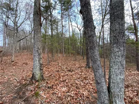 0 Davis Rd W, Fairmount, GA 30139 photo 30