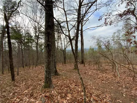 0 Davis Rd W, Fairmount, GA 30139 photo 29