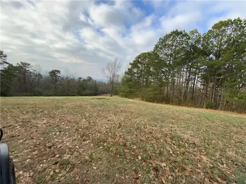 0 Davis Rd W, Fairmount, GA 30139 photo 8