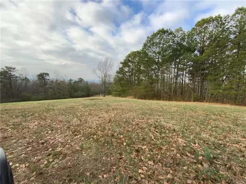 0 Davis Rd W, Fairmount, GA 30139 photo 7