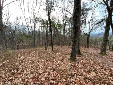 0 Davis Rd W, Fairmount, GA 30139 photo 23