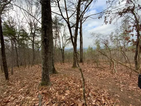 0 Davis Rd W, Fairmount, GA 30139 photo 18