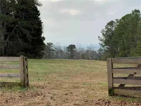 0 Davis Rd W, Fairmount, GA 30139 photo 3