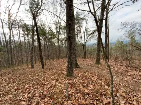 0 Davis Rd W, Fairmount, GA 30139 photo 20