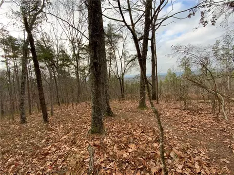 0 Davis Rd W, Fairmount, GA 30139 photo 19