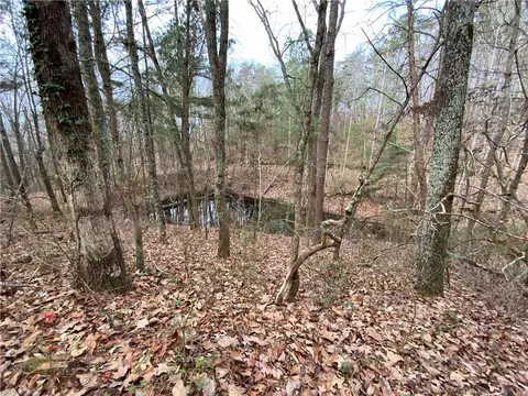 0 Davis Rd W, Fairmount, GA 30139 photo 14