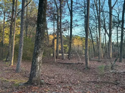 1740 Highway 36, Jackson, GA 30233 photo 25