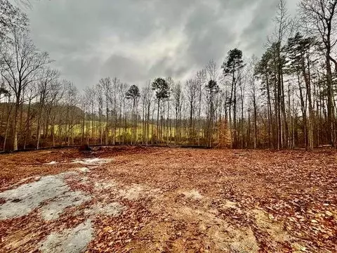 0 Rue De Cason May, Carnesville, GA 30521