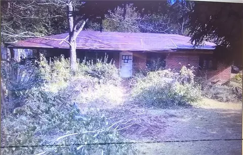 423 Jeter Dr, Pinckard, AL 36350