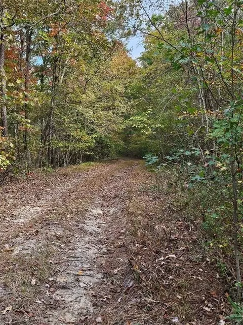 00 Fruit Farm Rd, Summerville, GA 30747