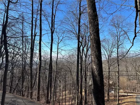 Lt1535 Moss Patch Trail, Jasper, GA 30143 photo 4