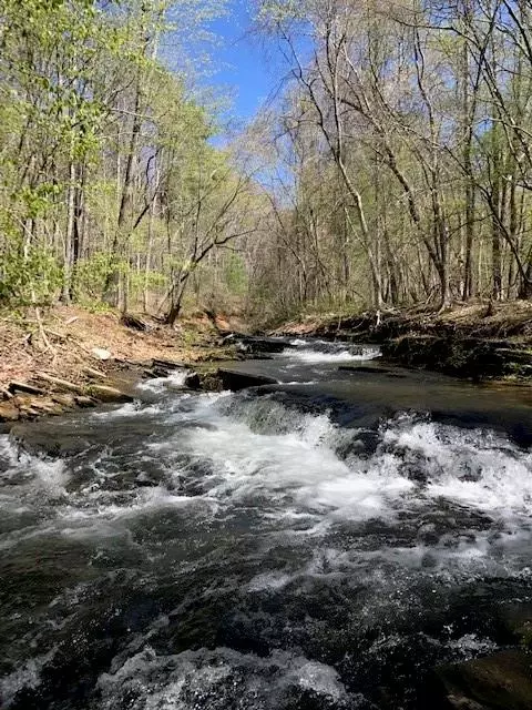 Lt1535 Moss Patch Trail, Jasper, GA 30143 photo 25