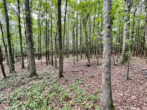 0 Harmony Gates Dr, Commerce, GA 30530 photo 19