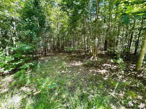 0 Harmony Gates Dr, Commerce, GA 30530 photo 11