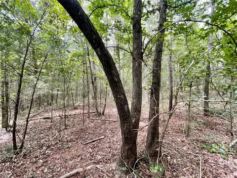 0 Harmony Gates Dr, Commerce, GA 30530 photo 14