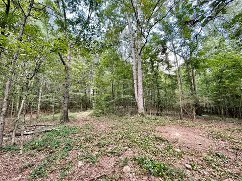 0 Harmony Gates Dr, Commerce, GA 30530 photo 18