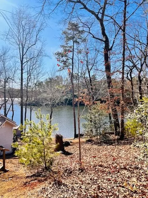 1085 Mountain Shadows Dr, Cleveland, GA 30528