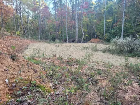 lot11 Oscar Ct, Ellijay, GA 30540