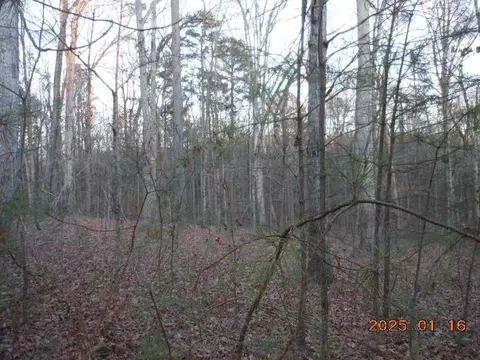 2819 Carson Garret Ct, Buford, GA 30519 photo 6