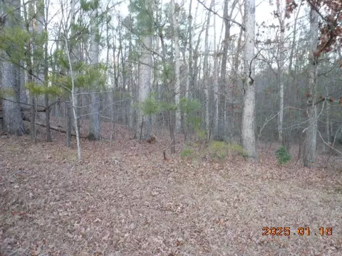 2819 Carson Garret Ct, Buford, GA 30519 photo 3