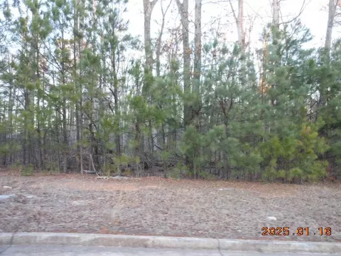 2819 Carson Garret Ct, Buford, GA 30519 photo 5