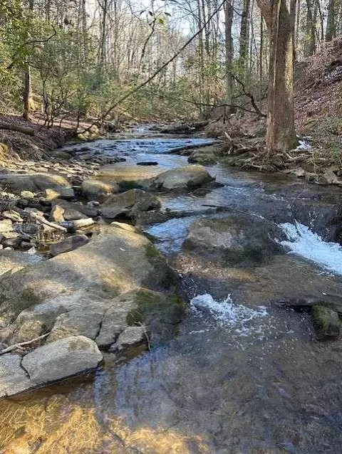 0 Clear Creek Preserve Way- 455 Acre Lot, Ellijay, GA 30536