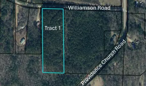 Tract1 Williamson Road, Tallapoosa, GA 30176