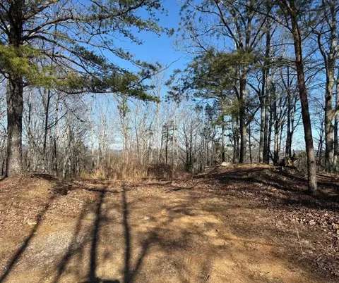 48 Antler Ct, Ranger, GA 30734
