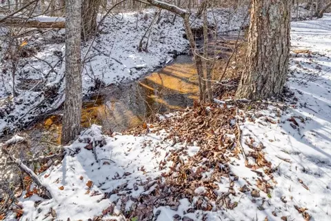 Other - 323 Winding Stream Trl, Hampton, GA 30228 photo 8 of 18