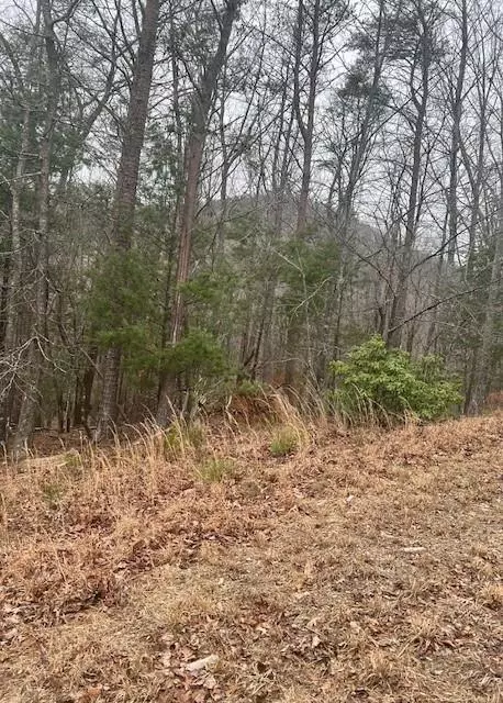 0 Sharp Top Mountain Trl, Jasper, GA 30143