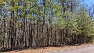 3289 Wood Poppy Vw, Big Canoe, GA 30143