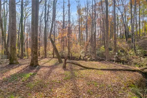 281 Deer Trace Dr, Mcdonough, GA 30253 photo 53